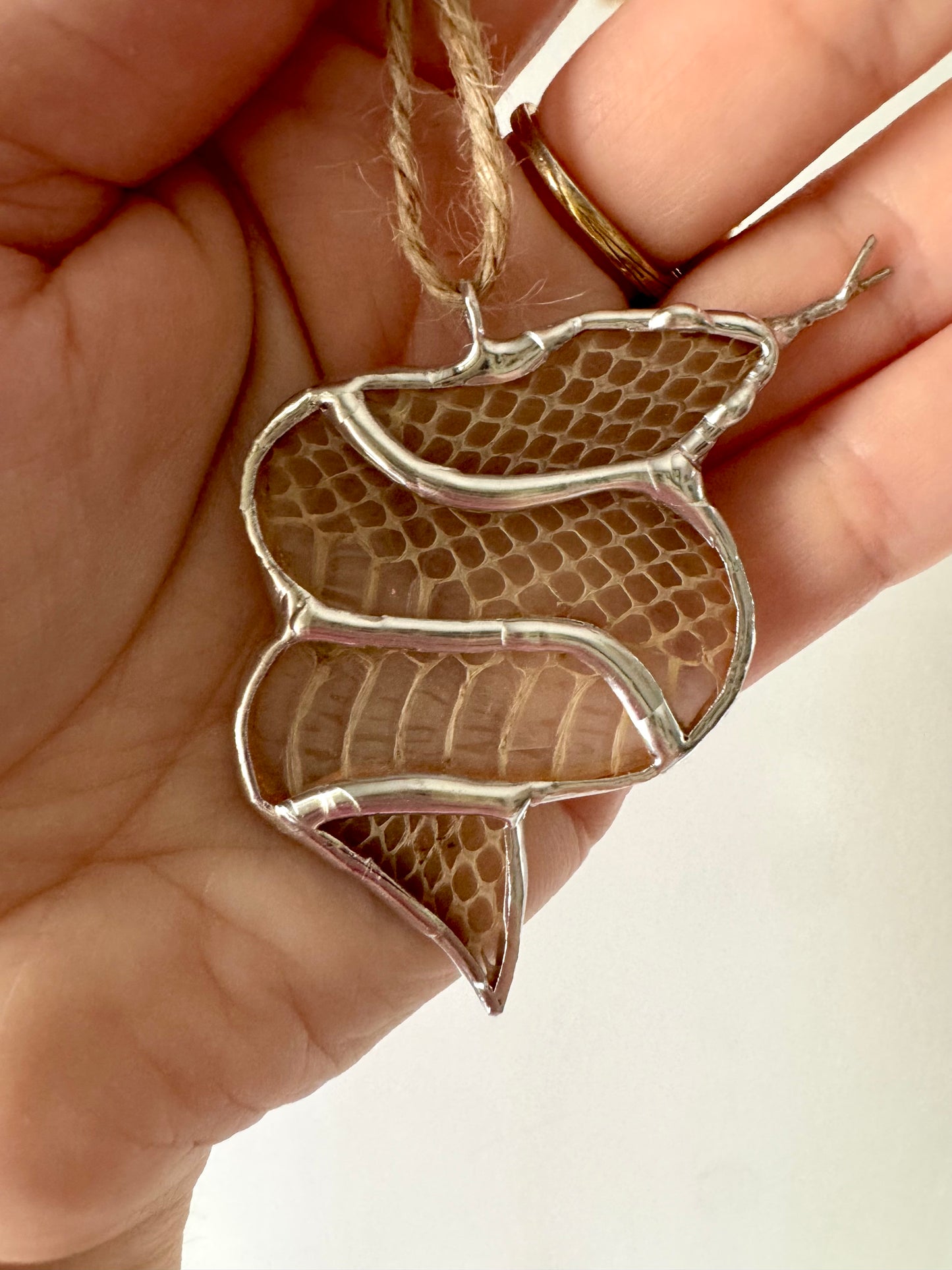 Sweet Snake- AUS sale only