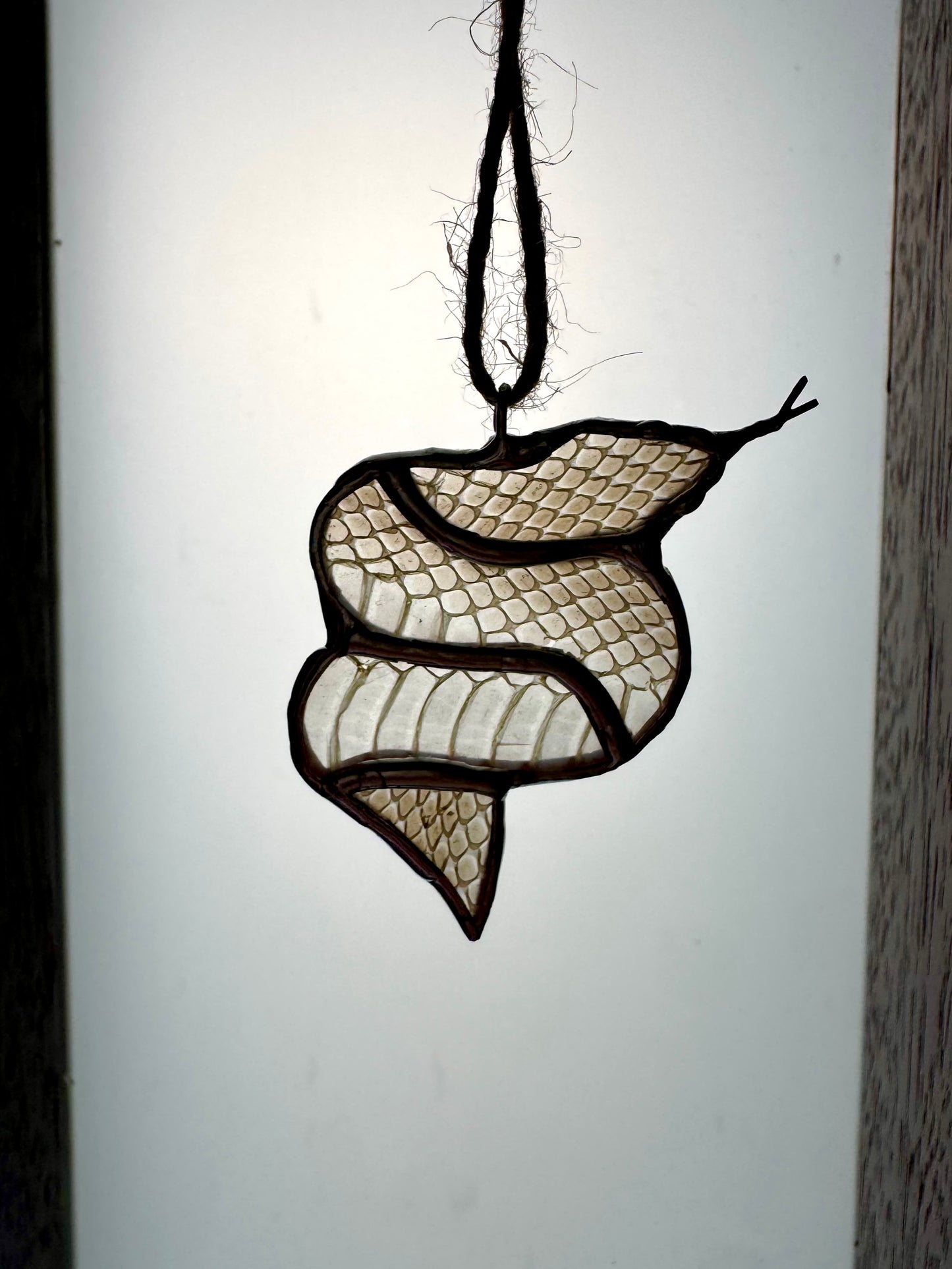 Sweet Snake- AUS sale only