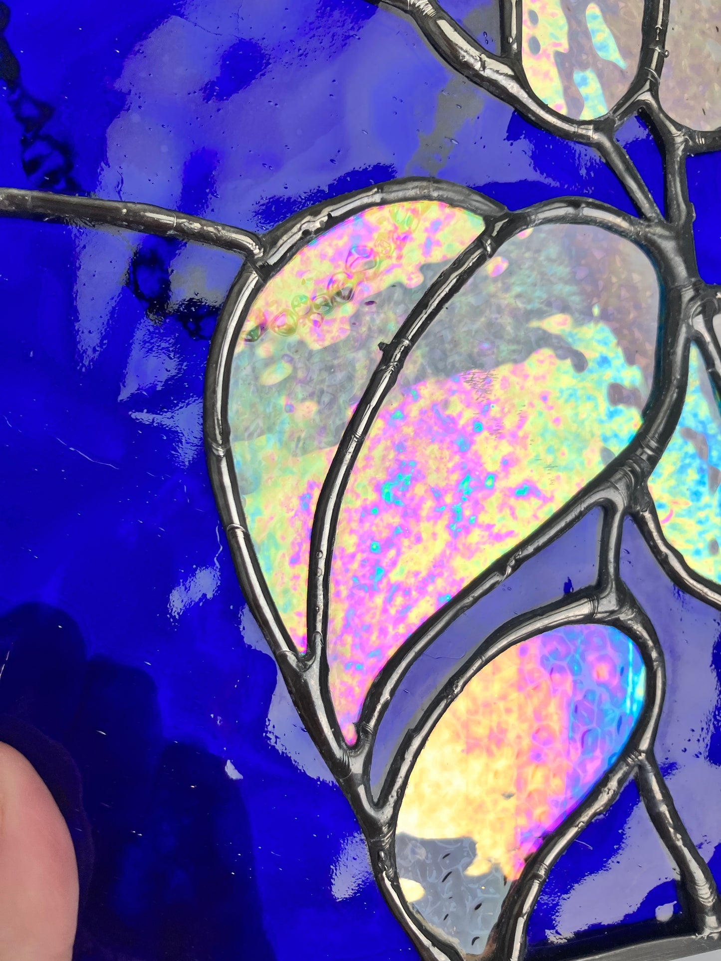 Iridescent Night Sky Pothos Panel