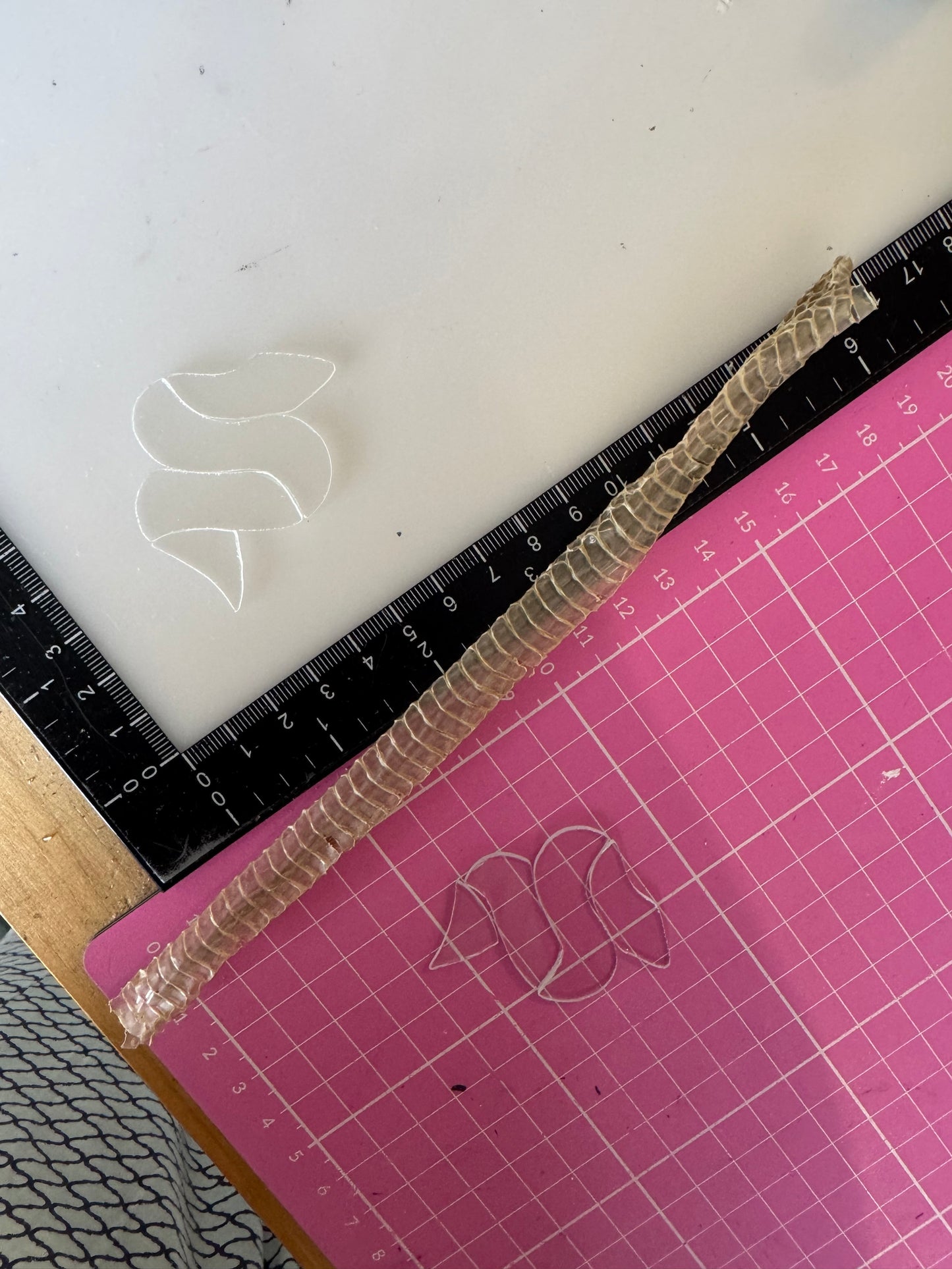 Sweet Snake- AUS sale only