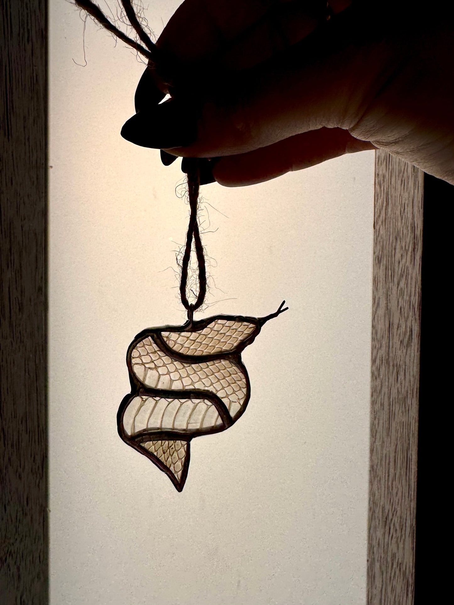 Sweet Snake- AUS sale only