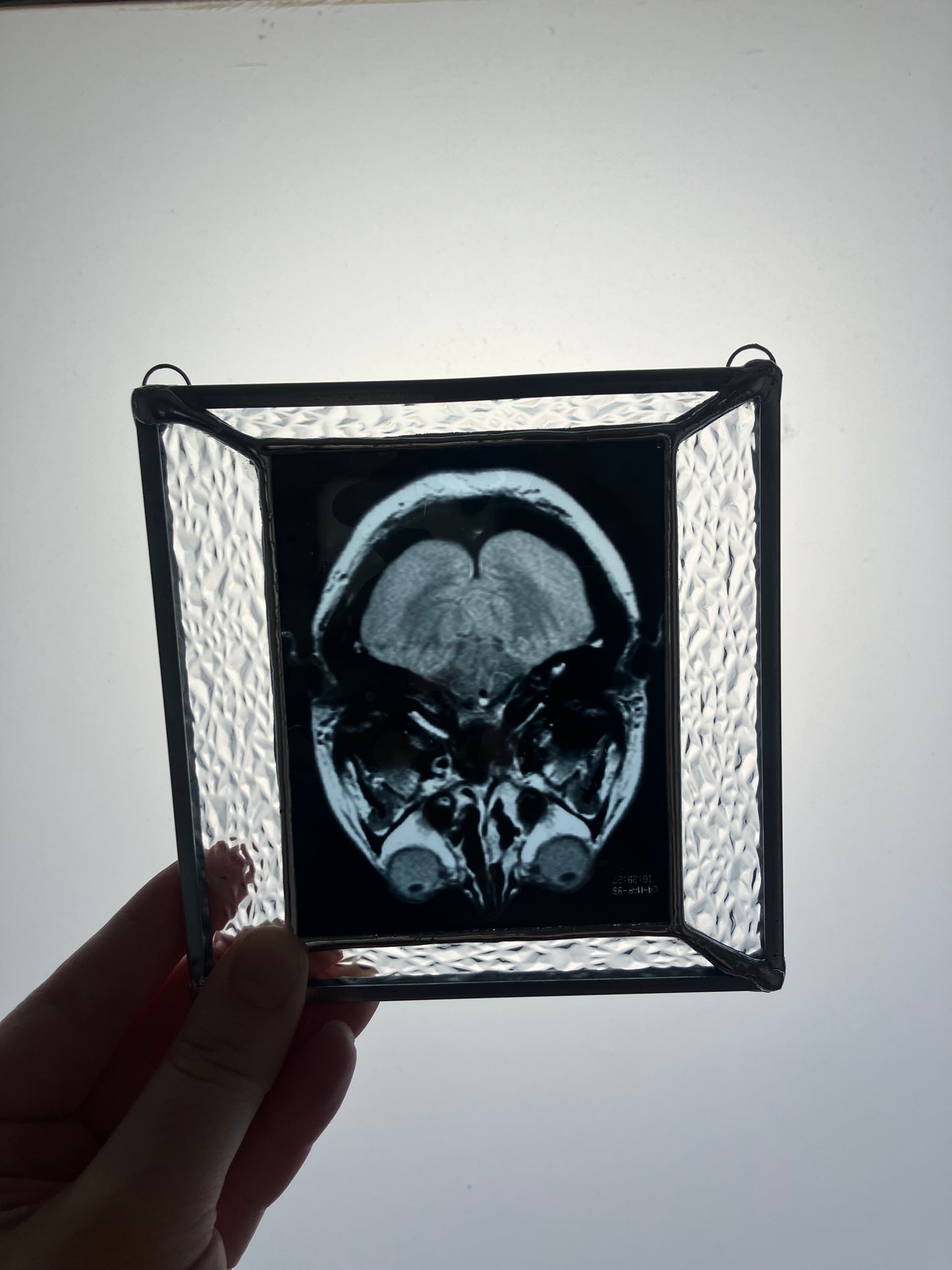 SOLD - Brain Scan Axial Plane View