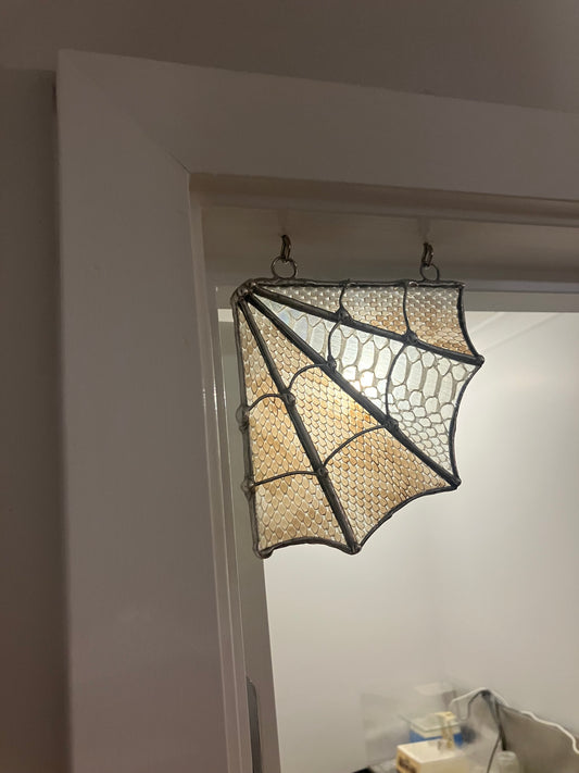 Snake Skin Corner Spider Web