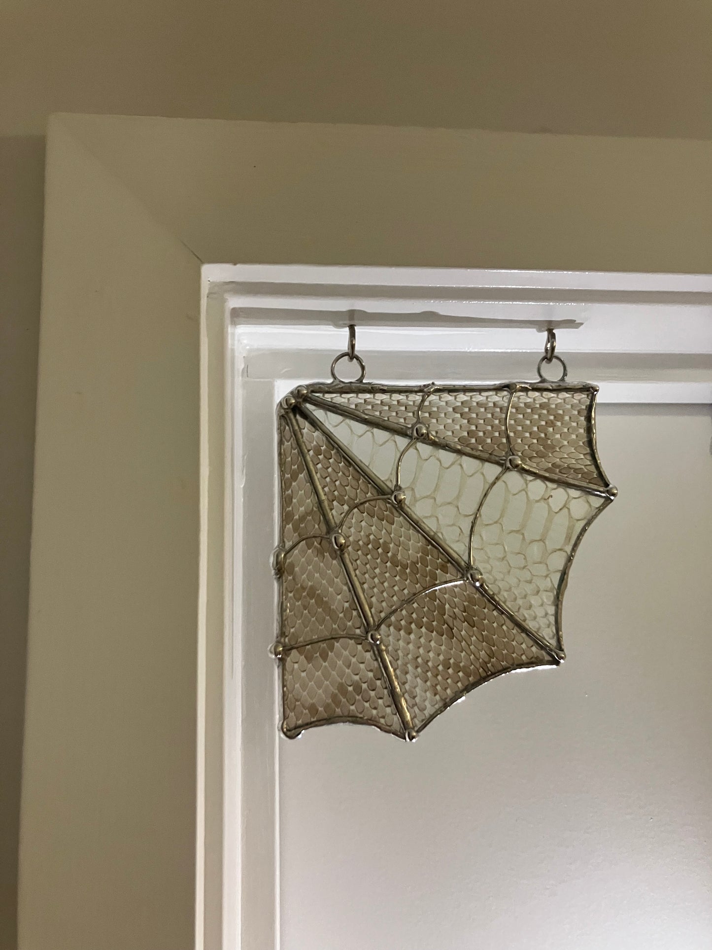 Snake Skin Corner Spider Web