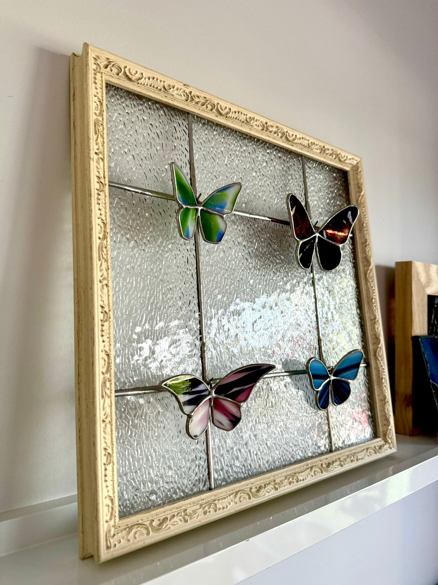 Butterfly Specimen Display