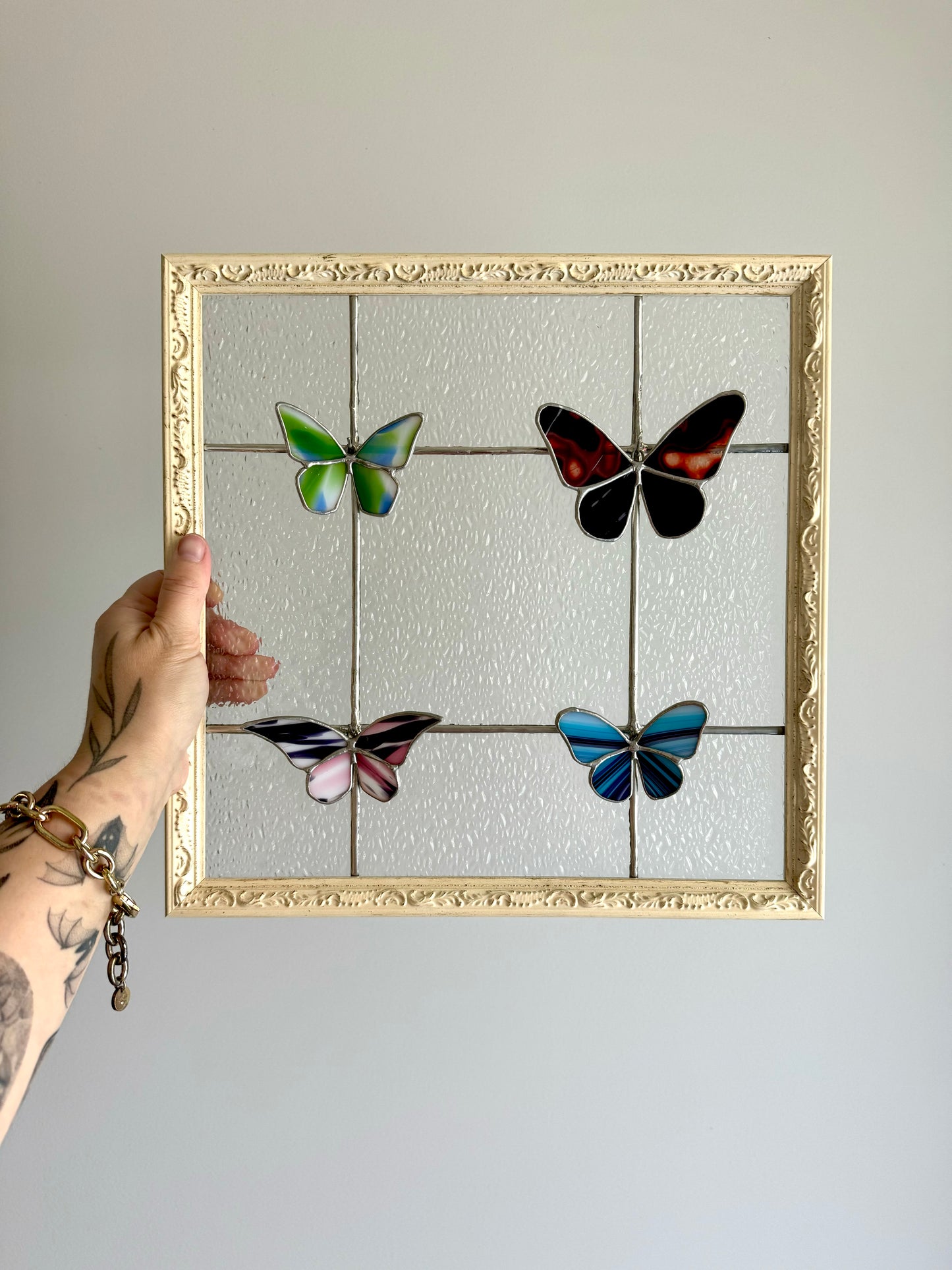 Butterfly Specimen Display