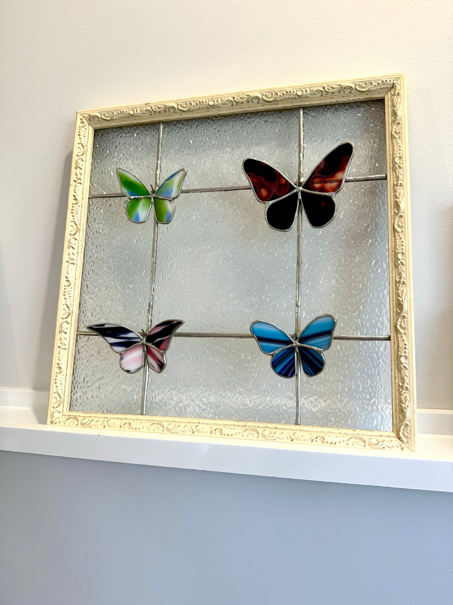 Butterfly Specimen Display