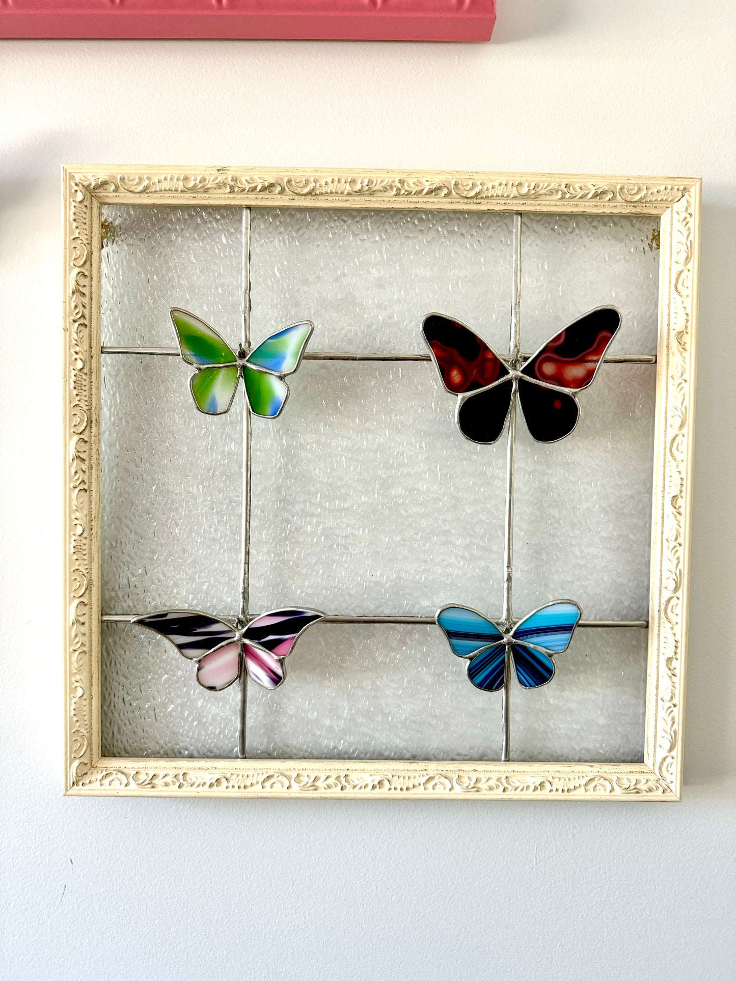 Butterfly Specimen Display