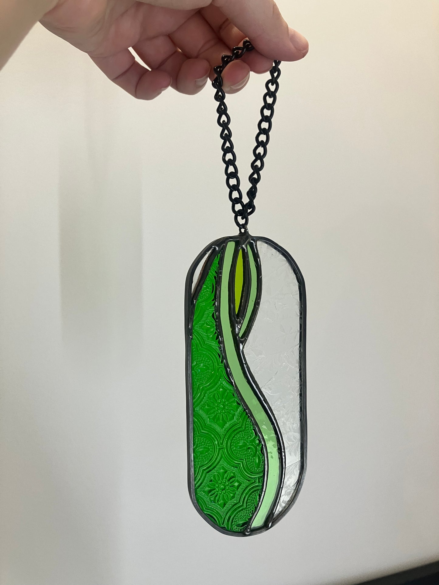 Snake Plant pill-shaped sun catcher