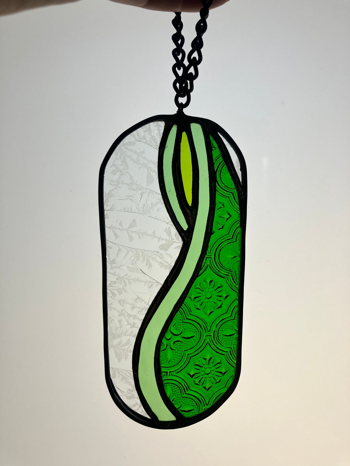 Snake Plant pill-shaped sun catcher