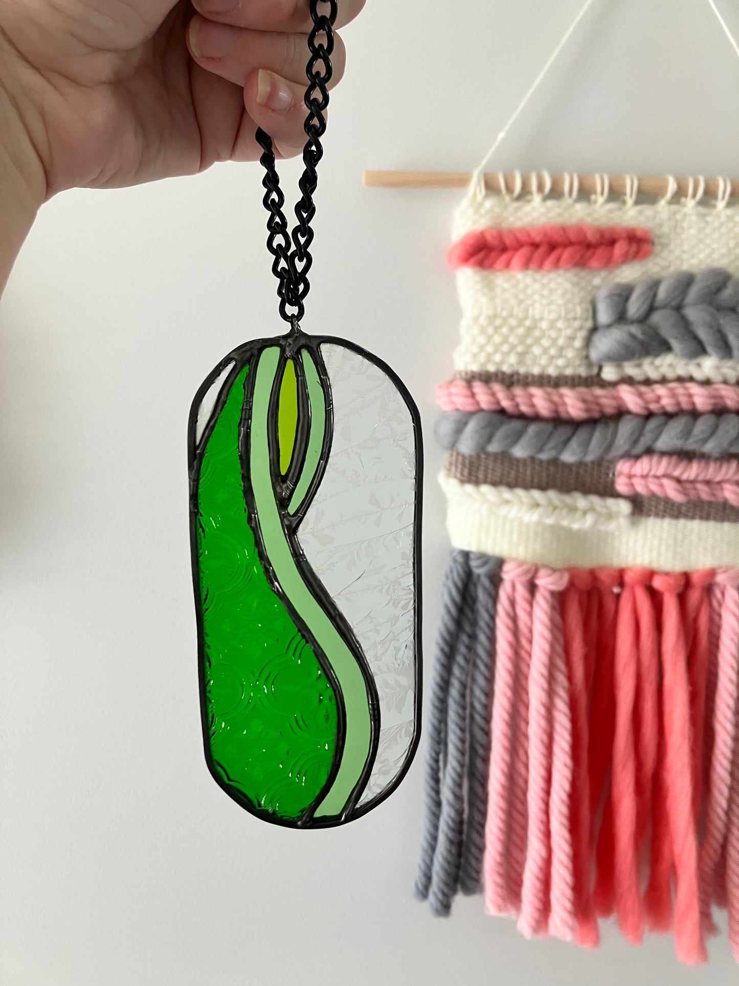 Snake Plant pill-shaped sun catcher