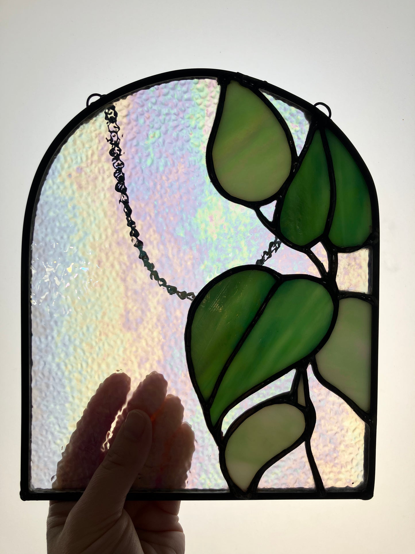 Iridescent Pothos Panel