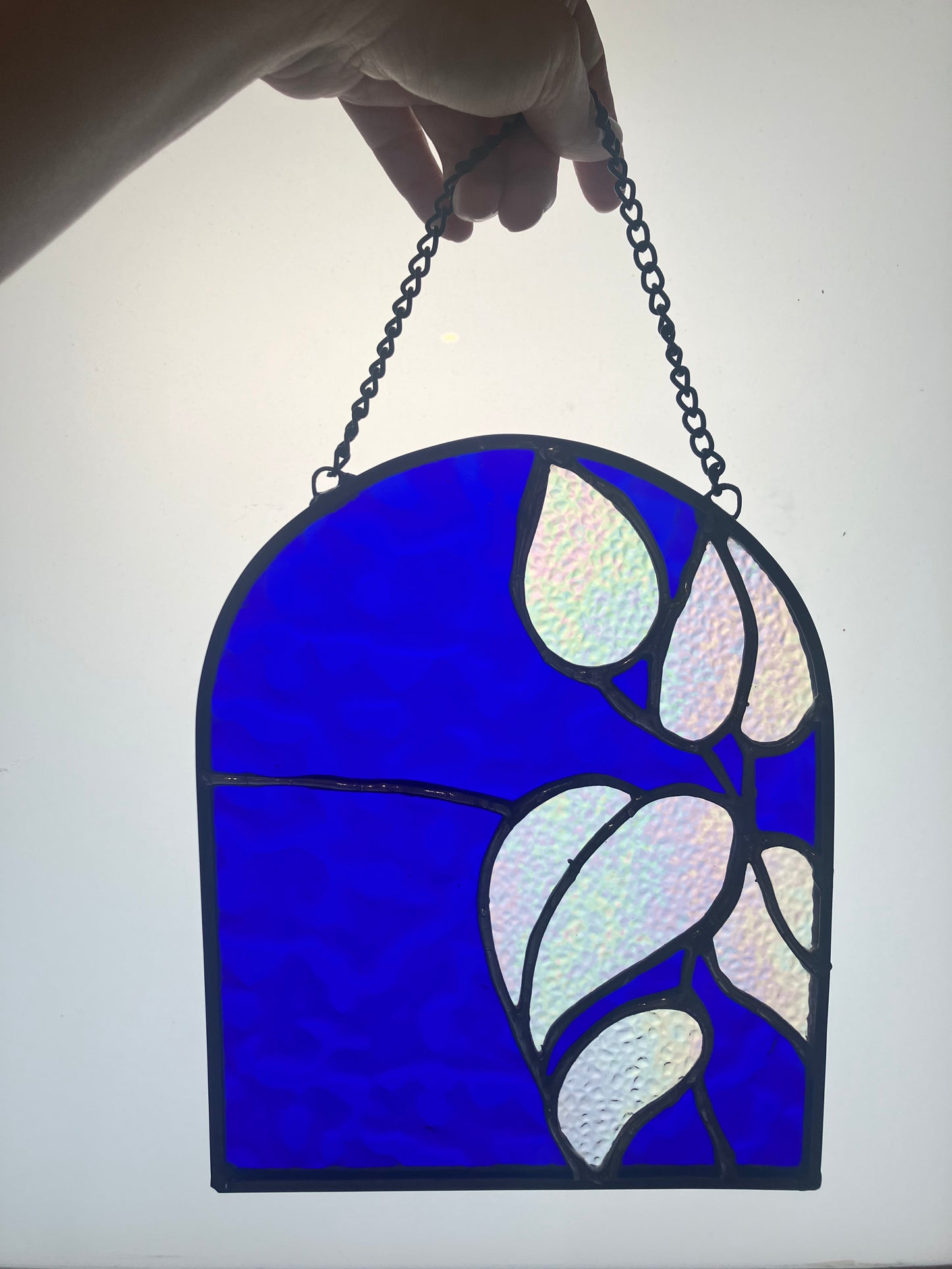 Iridescent Night Sky Pothos Panel